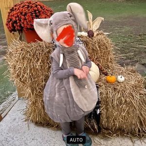 Toddler Elephant costume